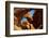 Landscape - Arches National Park - Utah - United States-Philippe Hugonnard-Framed Photographic Print