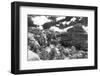 Landscape - Arches National Park - Utah - United States-Philippe Hugonnard-Framed Photographic Print