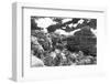 Landscape - Arches National Park - Utah - United States-Philippe Hugonnard-Framed Photographic Print