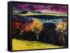 Landscape - Ardennes-Pol Ledent-Framed Stretched Canvas