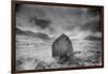 Landscape, Argyllshire, Scotland-Simon Marsden-Framed Giclee Print