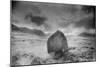 Landscape, Argyllshire, Scotland-Simon Marsden-Mounted Giclee Print