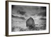 Landscape, Argyllshire, Scotland-Simon Marsden-Framed Giclee Print