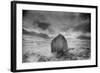 Landscape, Argyllshire, Scotland-Simon Marsden-Framed Giclee Print