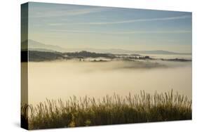 Landscape around Asciano-Guido Cozzi-Stretched Canvas