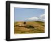 Landscape around Enna with Mount Etna in the Background, Enna, Sicily, Italy, Europe-Levy Yadid-Framed Photographic Print