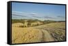 Landscape around Pienza-Guido Cozzi-Framed Stretched Canvas