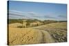 Landscape around Pienza-Guido Cozzi-Stretched Canvas