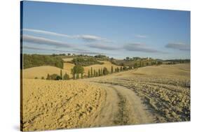 Landscape around Pienza-Guido Cozzi-Stretched Canvas