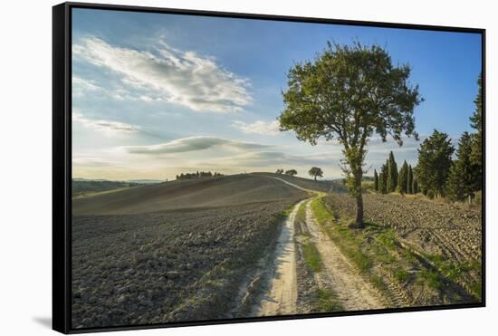 Landscape around Pienza-Guido Cozzi-Framed Stretched Canvas