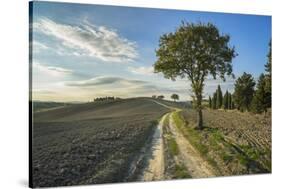 Landscape around Pienza-Guido Cozzi-Stretched Canvas