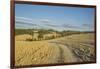 Landscape around Pienza-Guido Cozzi-Framed Photographic Print