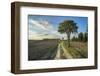 Landscape around Pienza-Guido Cozzi-Framed Photographic Print