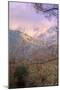 Landscape Array, Mount Diablo State Park-Vincent James-Mounted Photographic Print