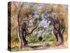 Landscape at Cagnes-Pierre-Auguste Renoir-Stretched Canvas