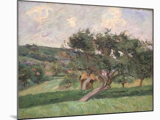 Landscape at Damiette, c.1890-Armand Guillaumin-Mounted Giclee Print