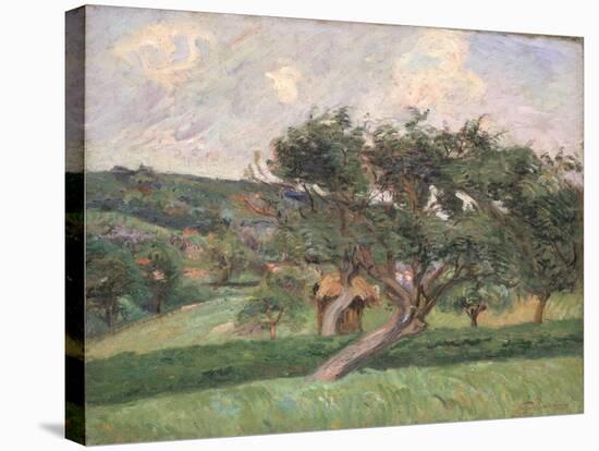 Landscape at Damiette, c.1890-Armand Guillaumin-Stretched Canvas