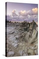 Landscape at Dragon's Teeth, Maui-Vincent James-Stretched Canvas