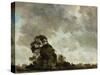Landscape at Hampstead, Tree and Storm Clouds, C.1821 (Oil on Paper Laid Down on Panel)-John Constable-Stretched Canvas