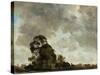 Landscape at Hampstead, Tree and Storm Clouds, C.1821 (Oil on Paper Laid Down on Panel)-John Constable-Stretched Canvas