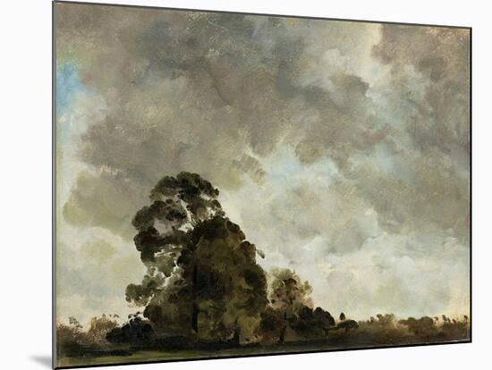 Landscape at Hampstead, Tree and Storm Clouds, C.1821 (Oil on Paper Laid Down on Panel)-John Constable-Mounted Giclee Print