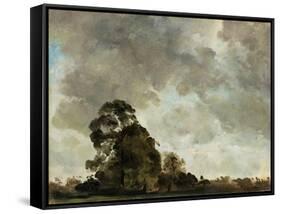 Landscape at Hampstead, Tree and Storm Clouds, C.1821 (Oil on Paper Laid Down on Panel)-John Constable-Framed Stretched Canvas
