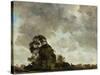 Landscape at Hampstead, Tree and Storm Clouds, C.1821 (Oil on Paper Laid Down on Panel)-John Constable-Stretched Canvas