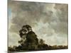 Landscape at Hampstead, Tree and Storm Clouds, C.1821 (Oil on Paper Laid Down on Panel)-John Constable-Mounted Giclee Print