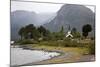 Landscape at Lago Paimun, Lanin National Park, Patagonia, Argentina, South America-Yadid Levy-Mounted Photographic Print