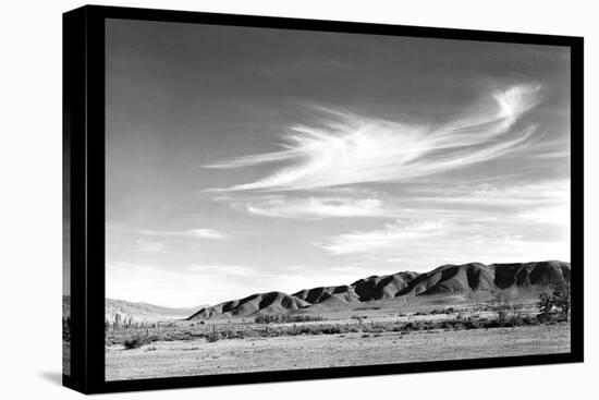 Landscape at Manzanar-Ansel Adams-Stretched Canvas