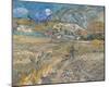 Landscape At Saint-Rémy - Enclosed Field With Peasant-Vincent Van Gogh-Mounted Giclee Print