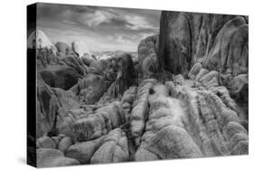 Landscape at White Tank, Joshua Tree-Vincent James-Stretched Canvas