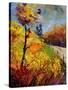 Landscape Autumn 454111-Pol Ledent-Stretched Canvas