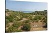 Landscape between Trani and Bisceglie-Guido Cozzi-Stretched Canvas