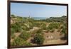 Landscape between Trani and Bisceglie-Guido Cozzi-Framed Photographic Print