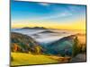 Landscape Black Forest Germany-Mahmoud Younes-Mounted Photographic Print