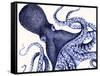 Landscape Blue Octopus-Fab Funky-Framed Stretched Canvas