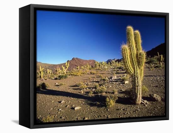 Landscape, Bolivian Desert, Bolivia-Massimo Borchi-Framed Stretched Canvas