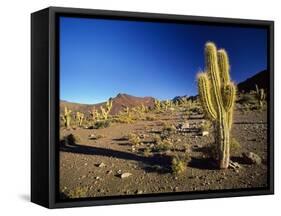 Landscape, Bolivian Desert, Bolivia-Massimo Borchi-Framed Stretched Canvas