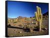 Landscape, Bolivian Desert, Bolivia-Massimo Borchi-Framed Stretched Canvas