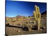 Landscape, Bolivian Desert, Bolivia-Massimo Borchi-Stretched Canvas