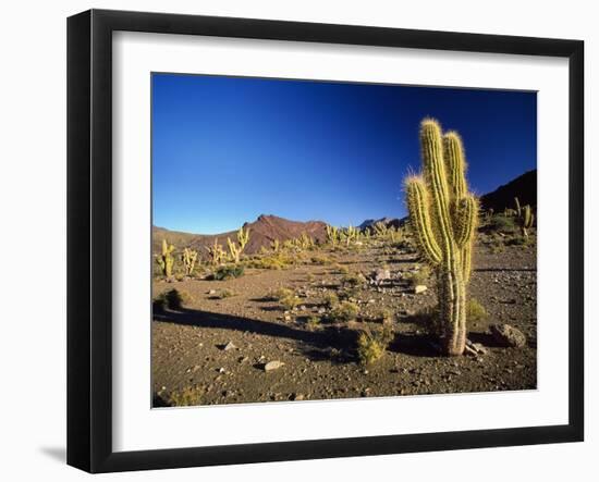 Landscape, Bolivian Desert, Bolivia-Massimo Borchi-Framed Photographic Print