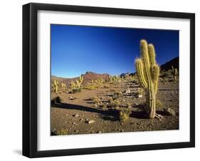 Landscape, Bolivian Desert, Bolivia-Massimo Borchi-Framed Photographic Print