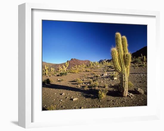 Landscape, Bolivian Desert, Bolivia-Massimo Borchi-Framed Photographic Print