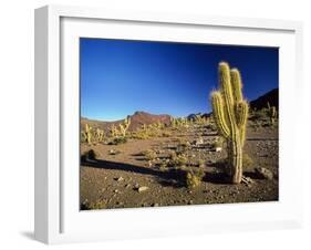 Landscape, Bolivian Desert, Bolivia-Massimo Borchi-Framed Photographic Print