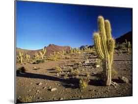 Landscape, Bolivian Desert, Bolivia-Massimo Borchi-Mounted Photographic Print