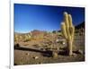 Landscape, Bolivian Desert, Bolivia-Massimo Borchi-Framed Photographic Print