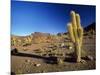 Landscape, Bolivian Desert, Bolivia-Massimo Borchi-Mounted Photographic Print