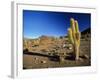 Landscape, Bolivian Desert, Bolivia-Massimo Borchi-Framed Photographic Print