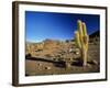 Landscape, Bolivian Desert, Bolivia-Massimo Borchi-Framed Photographic Print